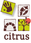 citrus_logo-citrus.png