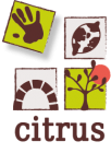 CitrusSolidaritesJeunessesEnOccitanieOue_logo-citrus.png